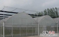 建一个大棚需要多少钱费用 建一个大棚需要多少钱