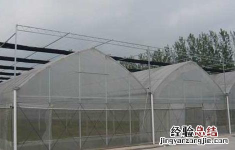 建一个大棚需要多少钱费用 建一个大棚需要多少钱