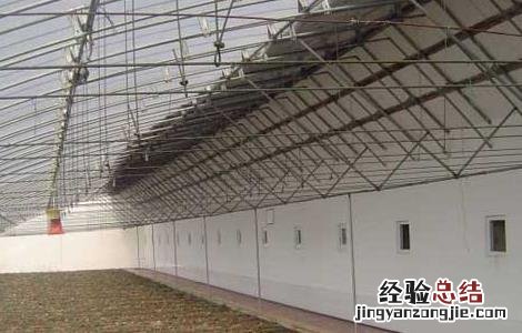 建一个大棚需要多少钱费用 建一个大棚需要多少钱