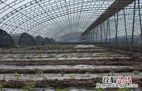 建一个大棚需要多少钱费用 建一个大棚需要多少钱