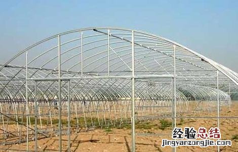 建一个大棚需要多少钱费用 建一个大棚需要多少钱