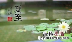 夏至节气介绍 夏至节气介绍幼儿版视频