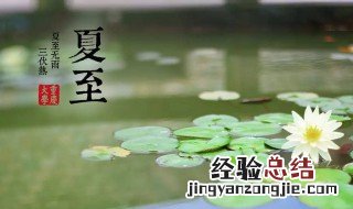 夏至节气介绍 夏至节气介绍幼儿版视频