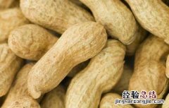 花生啥时候传入中国的 花生什么时候进入中国的