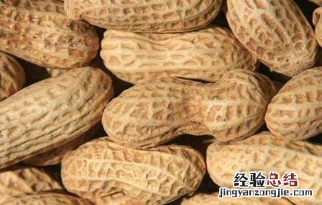 花生啥时候传入中国的 花生什么时候进入中国的