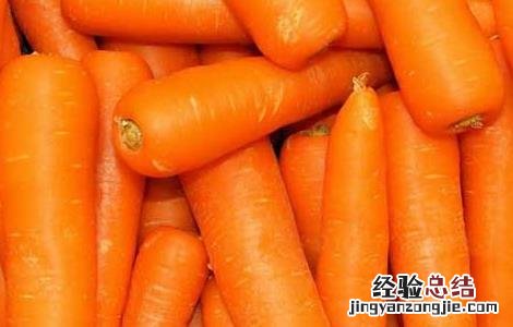 胡萝卜什么时候传入中国