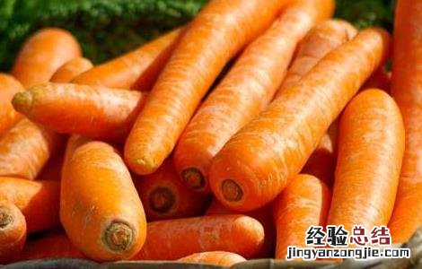 胡萝卜什么时候传入中国