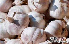 大蒜什么时候传入中国朝代 大蒜什么时候传入中国