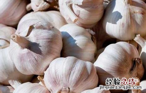 大蒜什么时候传入中国朝代 大蒜什么时候传入中国