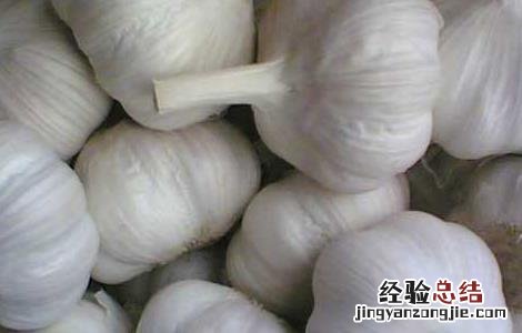 大蒜什么时候传入中国朝代 大蒜什么时候传入中国