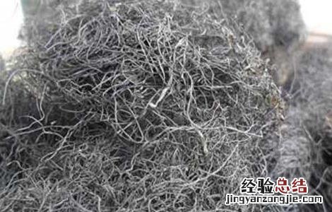 发菜为什么不算植物 发菜为什么不算植物