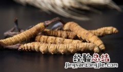 虫草炖鸡的功效与作用及食用方法 虫草炖鸡的功效与作用
