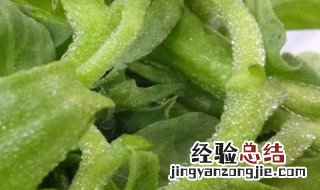 冰菜是什么菜 冰菜是什么菜,能吃吗