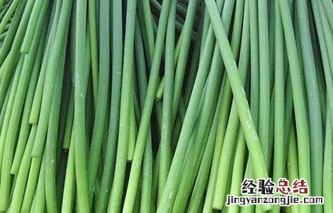 蒜苔原产地 蒜苔产地在哪里