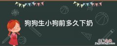 狗狗生完多久下奶 狗狗生小狗前多久下奶