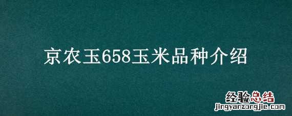 京农玉658玉米品种介绍 京农玉658玉米品种介绍二