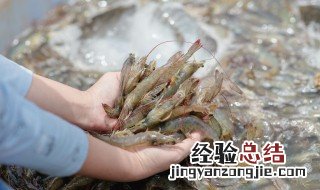 鲜虾怎么做好吃 鲜虾怎么做好吃又简单视频