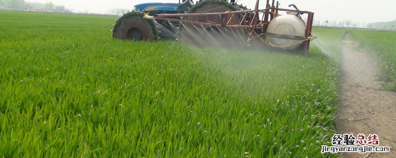 陶氏灵斯科丹使用说明 陶氏灵斯科注意事项