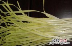 韭黄的种植方法和时间 韭黄的种植方法
