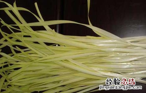 韭黄的种植方法和时间 韭黄的种植方法