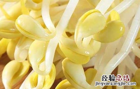 黄豆芽怎么发最快又好 黄豆怎么样才能发芽更快
