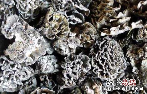 干巴菌怎么保存 干巴菌怎么保存一年