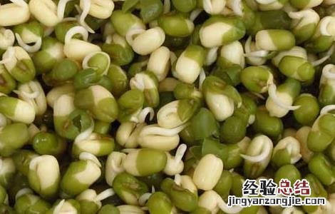 绿豆芽怎么发才好吃 绿豆芽怎么发才好