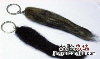 兔毛和貂毛有什么区别 兔毛和貂毛有什么区别呢