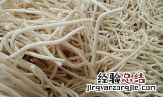 通草的功效与作用需要注意什么 通草的功效与作用需要注意什么呢