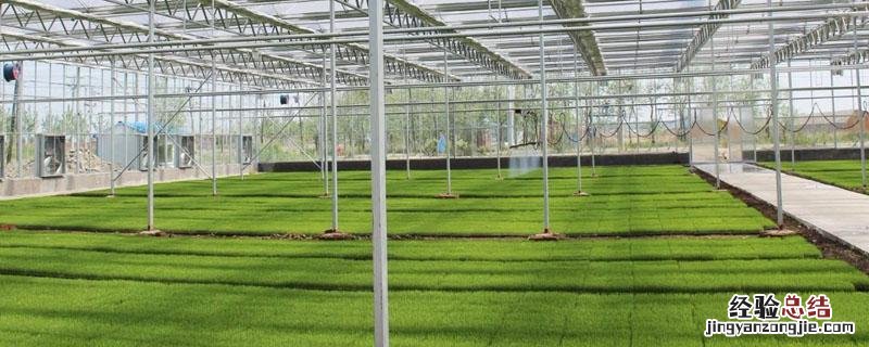 智能蔬菜大棚造价每亩 智能蔬菜大棚
