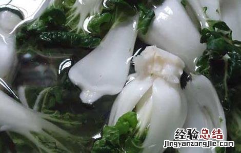 奶白菜的种植技术与管理 奶白菜的种植技术