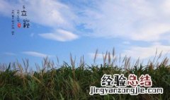 立秋以后这道菜有助于调理肠胃 立秋以后这道菜有助于调理肠胃吗