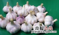 独蒜头怎么保鲜 独蒜怎么保存时间最长