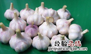 独蒜头怎么保鲜 独蒜怎么保存时间最长
