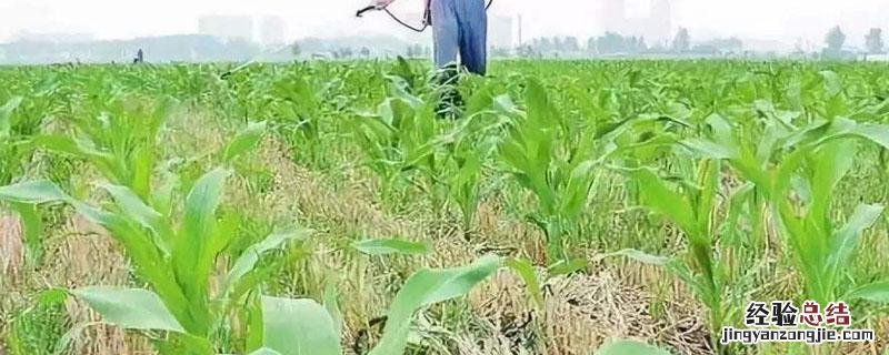 二甲四氯二甲铵盐作用 二甲四氯钠盐和铵盐的区别