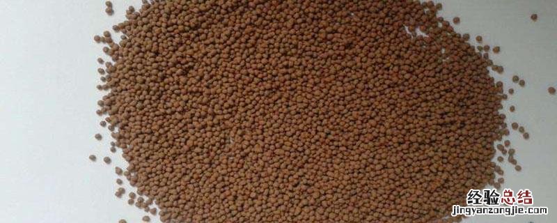 壮果肥什么时候施最好 壮果肥什么时候施