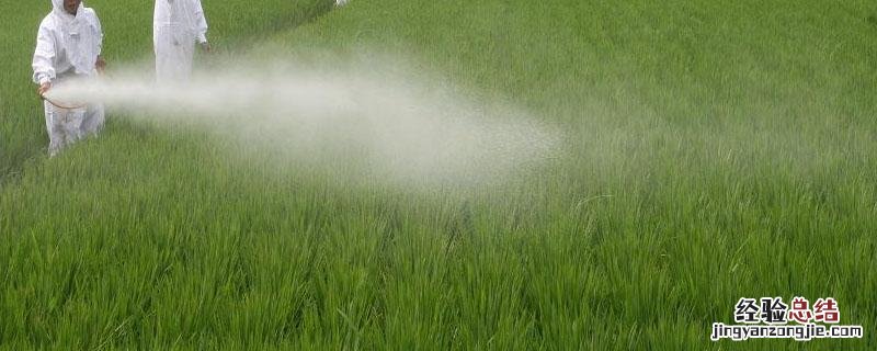 氯氟吡虫啉使用方法 吡虫啉使用方法