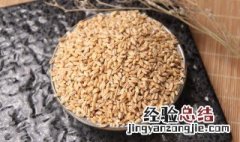 小麦的贮藏特性与贮藏方法视频 小麦的贮藏特性与贮藏方法