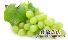 葡萄的贮藏特性和贮藏条件 葡萄的贮藏特性和贮藏条件有哪些