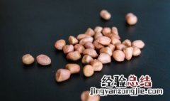 花生的贮藏特性与贮藏方法 花生的贮藏条件