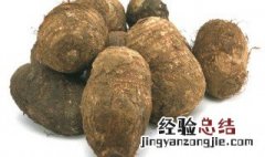 毛芋头什么时候季节种 毛芋头什么时候季节种最好