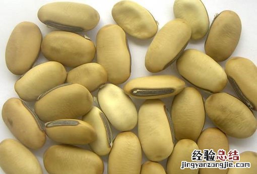 刀豆蛋白A 刀豆
