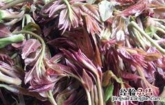 香椿芽的储存方法 香椿芽的储存方法和用量