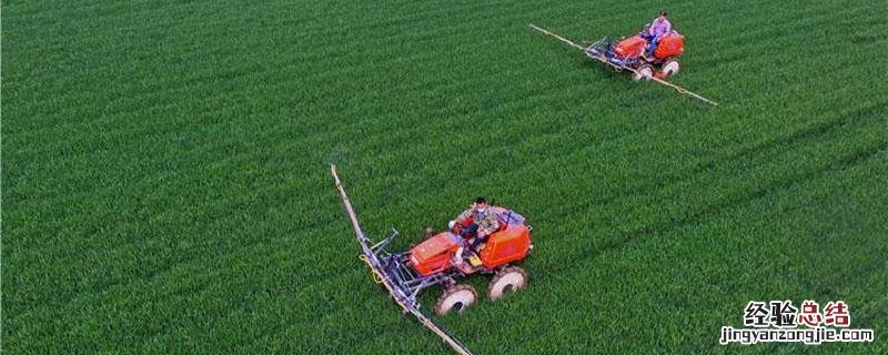 百香果花叶病毒病用什么农药 花叶病毒病用什么农药