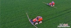 百香果花叶病毒病用什么农药 花叶病毒病用什么农药
