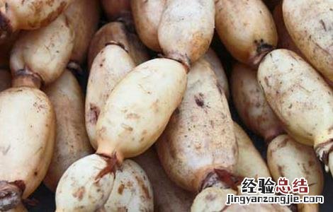 莲藕的産地分布 莲藕主要産地