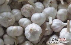 大蒜主要产地 大蒜的产地分布