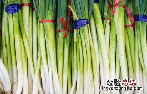 大葱的储存方法视频大全 大葱的储存方法