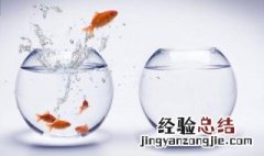 三合一过滤泵声音太响怎么办 三合一过滤泵声音大