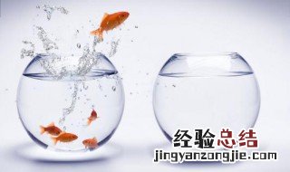 三合一过滤泵声音太响怎么办 三合一过滤泵声音大